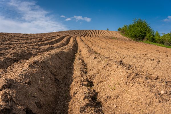 Soil Stabilization