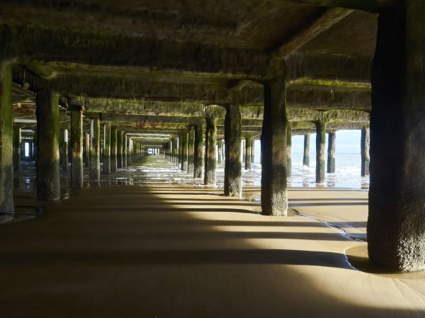 Pier And Beam Leveling Service